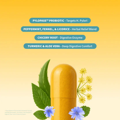 Snap Supplements Gut Health Lipase Supplement, Probiotic, 50 Vegan Capsules